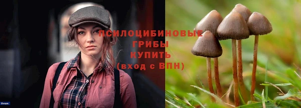 PSILOCYBIN Абинск