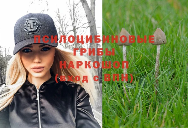 PSILOCYBIN Абинск