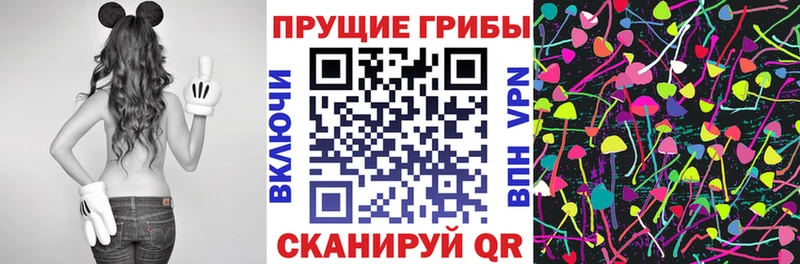 Галлюциногенные грибы Psilocybine cubensis  магазин    Норильск 